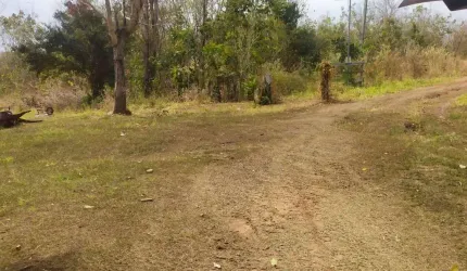 Vendo Sitio com 50 Hectares na Jangada Roncador