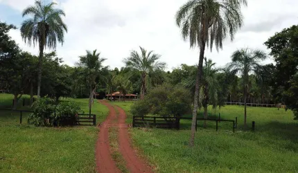 Fazenda  Dupla Aptidao em Campinapolis Mato Grosso