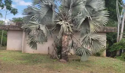 Chacará em Acorizal  a Beira Rio Cuiabá