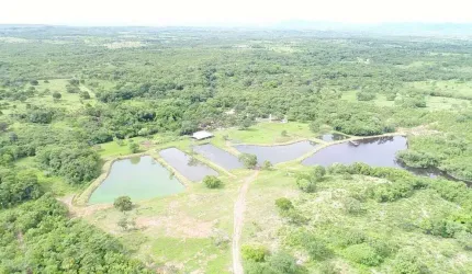 Vendo sítio turismo/rural piscicultura 34 hectares casa sede 7 tanques