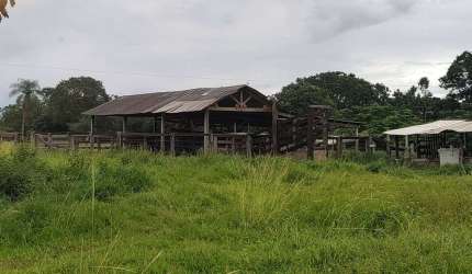 Imóvel à Venda Propriedade Rural - NS de Livramento - 54 km de Cuiabá