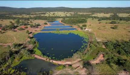 Fazenda a venda na Região de Jangada MT