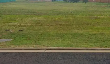 Terreno em condomínio ALFHAVILLE