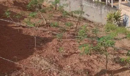 Terreno à venda, 150 m² por R$ 115.500,00 - Faisqueira - Pouso Alegre/MG