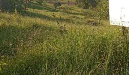 Terreno à venda, 240 m² por R$ 94.000,00 - Pitangueiras - Pouso Alegre/MG