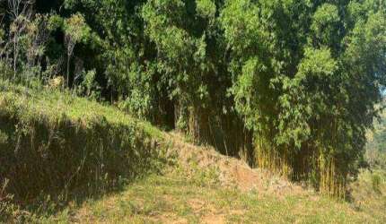 Terreno à venda, 24200 m² por R$ 1.000.000 - Toró - Bragança Paulista/SP