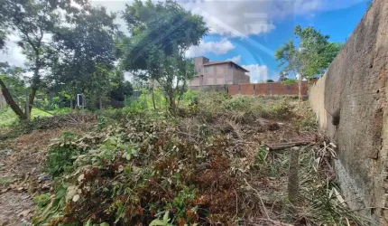 Terreno para Venda em São José de Ribamar, Araçagy