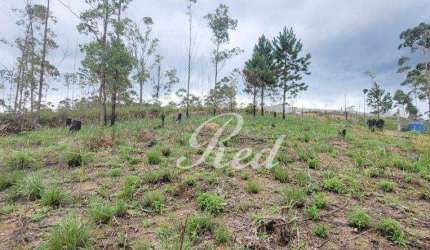 Terreno à venda, 2324 m² por R$ 140.000,00 - Clube dos Oficiais - Suzano/SP