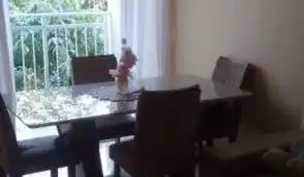 Apartamento 3 quartos 1 suíte com entrada mais parcelas de 2000 sem juros direto com o proprietário