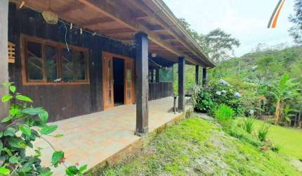 Sítio com 3 dormitórios à venda, 2000 m² por R$ 310.000,00 - Centro - Águas Mornas/SC