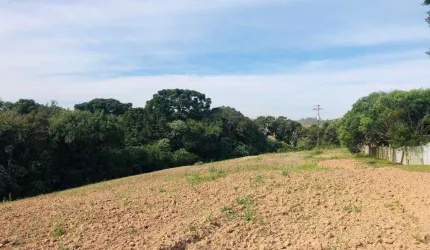 Chácara para Venda em Araucária, Capela Velha