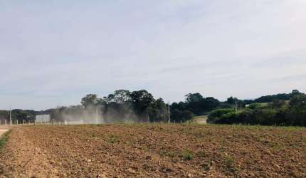 Chácara para Venda em Araucária, Capela Velha