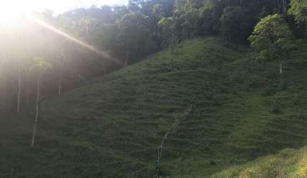 Chácara / Sítio à venda, 2 quartos, Três Rios do Norte - Jaraguá do Sul/SC