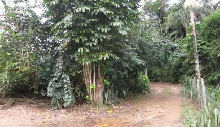 Chácara / Sítio à venda, 2 quartos, Nereu Ramos - Jaraguá do Sul/SC