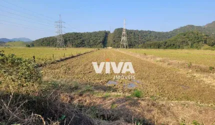 Terreno à venda, 3500 m² por R$ 1.750.000,00 - Rio do Meio - Itajaí/SC