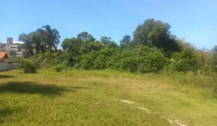 Terreno para Venda em Florianópolis, Ingleses do Rio Vermelho