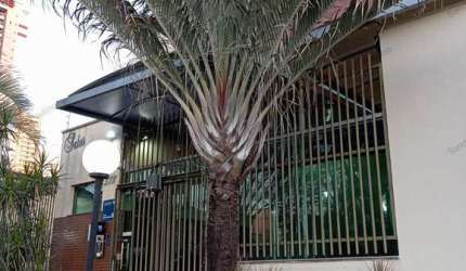 Residencial Solar das Brisas próximo ao Shopping Flamboyant e da faculdade Unip Apartamento com 2 Quarto(s) e 3 banheiro(s) à Venda, 87 por R$ 420.000 no setor Vila Maria José VN20801