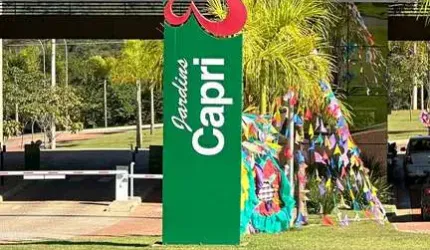 Ágio Lote Jardins Capri Área / Terreno à Venda, 313.78 por R$ 329.469 no setor jardins Capri ST22647