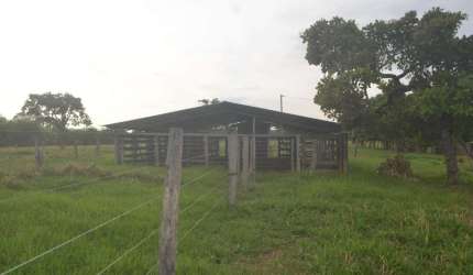 São Miguel do Passo Quatro Chácara à Venda, 3 por R$ 1.300.000 AD24794