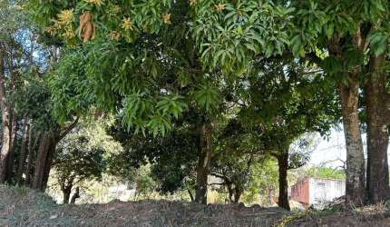 Lote em Aparecida - Vila Maria  Área / Terreno à Venda, 1214 por R$ 606.000 no setor Vila Maria IN25571