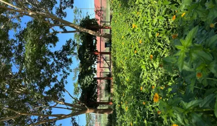 JARDINS NÁPOLES  Casa em Condomínio com 3 Quarto(s) e 5 banheiro(s) à Venda, 202 por R$ 1.590.000 no setor Jardins Nápoles AD27245