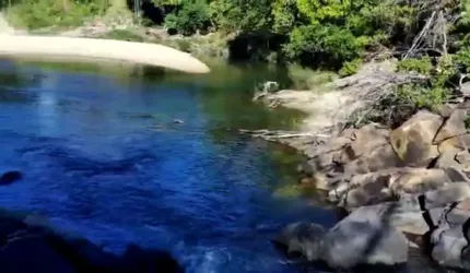 Fazenda Engenho Velho em Niquelândia. Fazenda à Venda, 269 por R$ 13.000.000 VN28606
