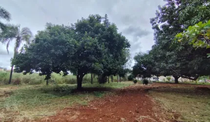 Vendo Chácara 10.000 M² próximo ao Country Clube Chácara à Venda, 10000 por R$ 1.800.000 VN28265