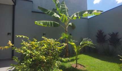 Lindo sobrado vila do cesar