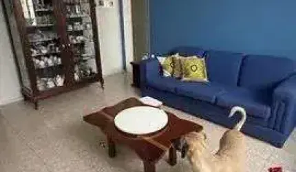 Apartamento com 3 dormitórios à venda, 96 m² por R$ 320.000,00 - Canela - Salvador/BA