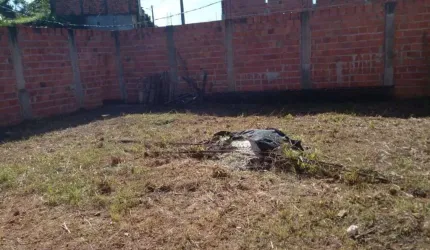 Terreno à venda, 375 m² por R$ 500.000,00 - Nova Brasília - Salvador/BA