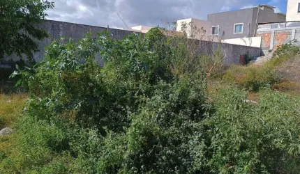 Terreno à venda, 250 m² por R$ 295.000,00 - Praia do Flamengo - Salvador/BA