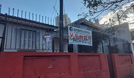 TERRENO para VENDA - VILA OSASCO - OSASCO- SÃO PAULO - AUTHÊNTICA IMÓVEIS