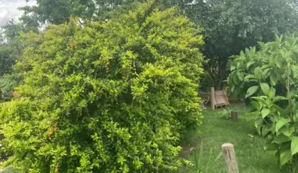 Terreno em Condomínio para Venda em Holambra, Residencial Portal do Sol