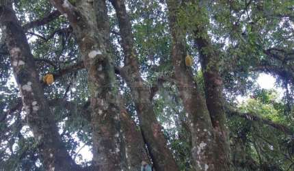 Ampla Propriedade Urbana em Paranaguá