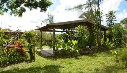Chácara para Venda em Conde, JARDIM RECREIO, 4 dormitórios, 4 suítes, 6 banheiros, 5 vagas
