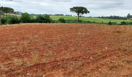 Araucária, à 300m do asfalto, 5 alqueires, 12,35 hectares, barracão, própria pra plantio, arrendada