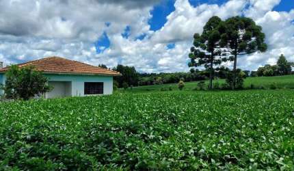 Lapa, 24 alqueires, 58 hectares ou. 580.800m², à 3 Km do asfalto, cercada, casa sede, galpão , plan