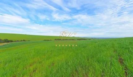 Ponta Grossa, 130 Alqueires, ou 314 Hectares, Dupla aptidão soja e gado, acesso asfalto, à venda, P
