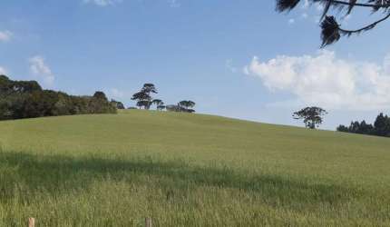 Lapa, Sede Centenária, 45 alqueires ,110,31 hectares , planta 16 alqueires, à venda, Mariental, PR