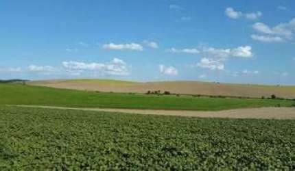 Lapa, Fazenda 471,90 hectares,195 alqueires ou 4.719.000m²,plantando 100 alqueires, à venda, Paraná