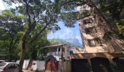 Vendo preciosidade no Jardim Botânico Rio de Janeiro Rua Conde Afonso Celso