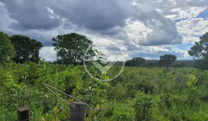 ÁREA DE 3.500 HECTARES EM RIBAS DO RIO PARDO codigo: 109099