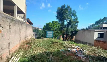 Terreno à venda, 324 m² por R$ 190.000,00 - Nova Benfica - Juiz de Fora/MG