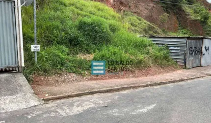 Terreno à venda, 480 m² por R$ 135.000,00 - Nova Benfica - Juiz de Fora/MG