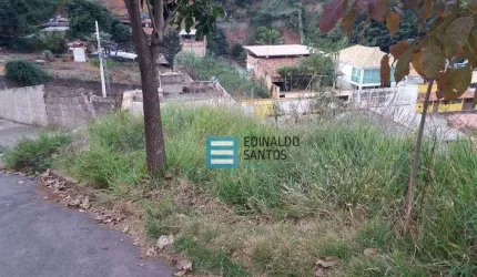 Terreno Residencial à venda, Nova Benfica, Juiz de Fora - TE0100.