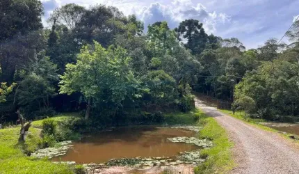 Chácara para venda possui 8000 m² - Casa com 80m² - Serra Alta - São Bento do Sul - SC