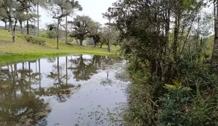 Imóvel para venda com 24000 m² em Mato Preto - São Bento do Sul - SC
