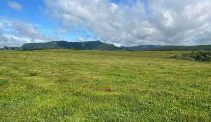 Terreno com 1403600 m² (58 Alqueires) 15 km da BR 116 - Zona Rural - Papanduva - SC