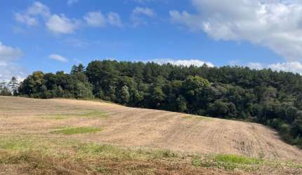 Terreno com 10, 65 alqueires - Ótimo para plantio - Lençol - São Bento do Sul - S.C.