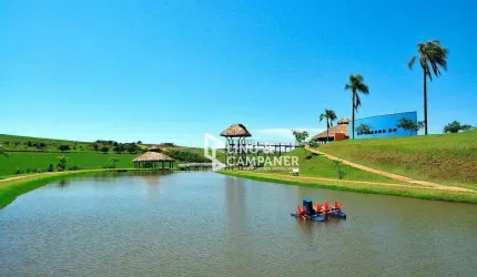 Terreno à venda, 3373 m² por R$ 750.000,00 - Ecovillas do Lago - Sertanópolis/PR